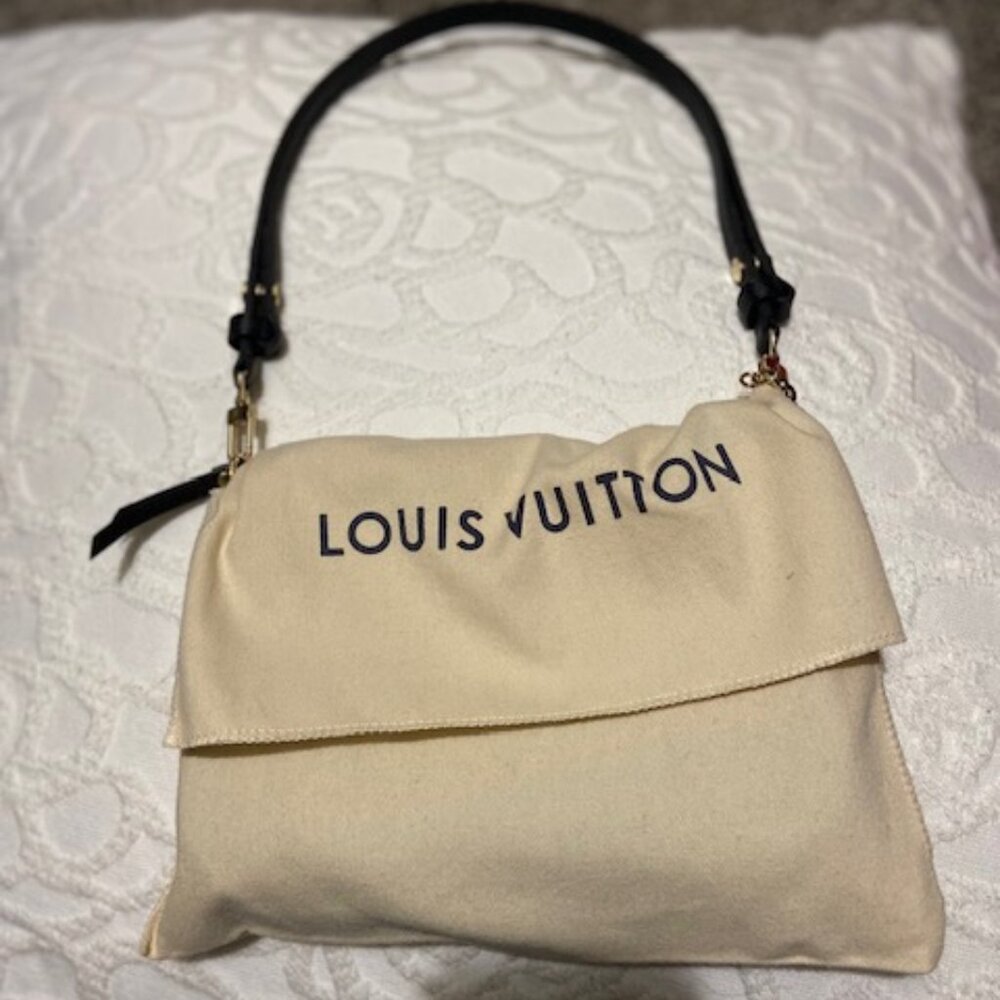 Louis Vuitton's Easy Pouch On Strap Bag M80349 (Used Once) - Picture 7 of 16